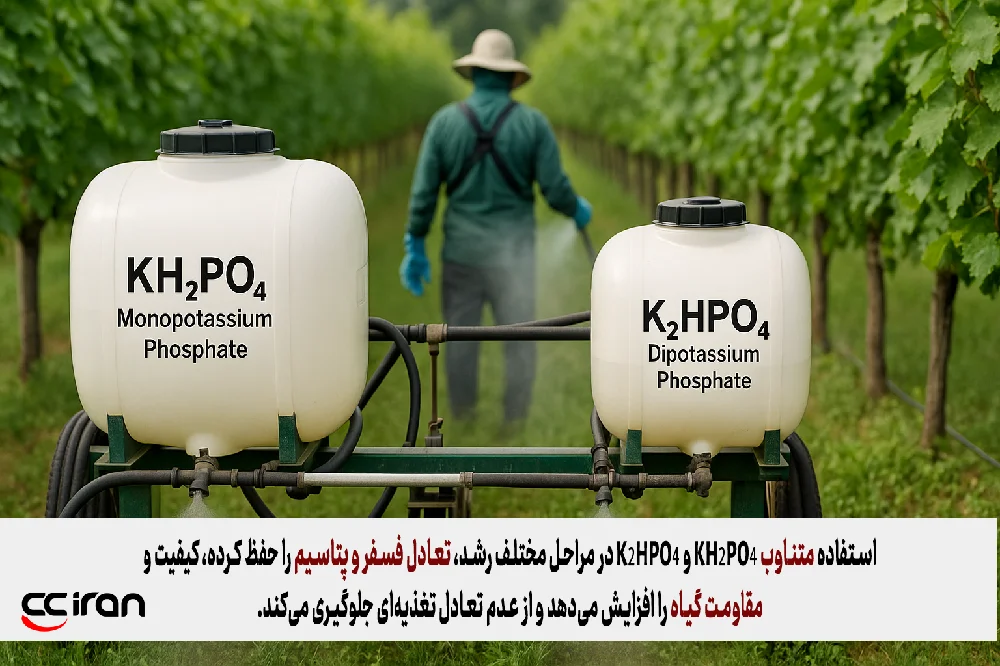  نحوه استفاده ی بهینه از مونوپتاسیم فسفات و دی پتاسیم فسفات